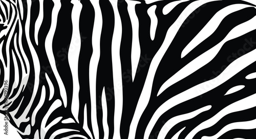 Vector art of closeup of a zebras distinctive black and white striped pattern, highlighting its natural texture and bold contrast
