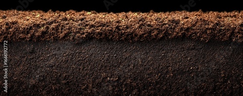 Close-up of dark brown soil layers