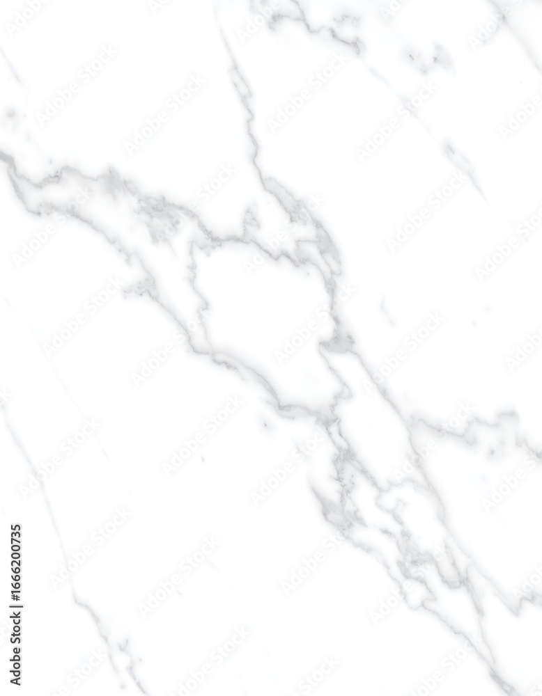 Obraz premium A detailed close-up view of a white marble-like surface with flowing, elegant veining patterns.