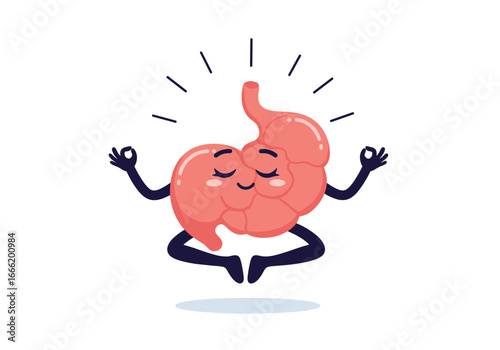 Understanding the human digestive system and its functions for better health