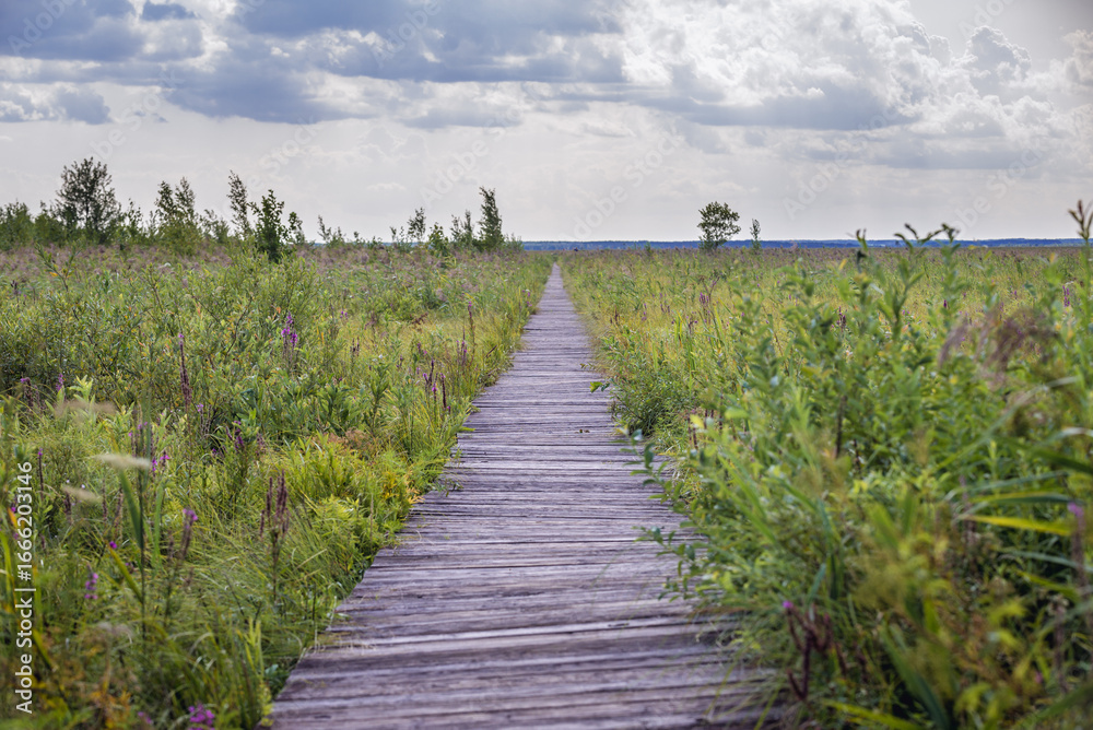 Obraz premium Wooden walkway called Dluga Luka on a Lawki swamps in Biebrza National Park, Podlasie region of Poland