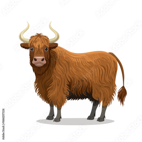 Illustration of a Brown Highland Cattle with Large Horns on a Plain Background