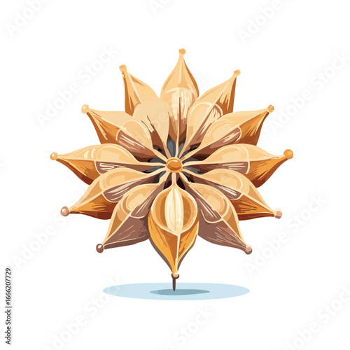 Stylized Star Anise Illustration Golden Culinary Herb Spice Food Ingredient