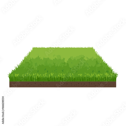Green grass patch illustration fresh lawn turf soil ground nature garden element design graphic isolated