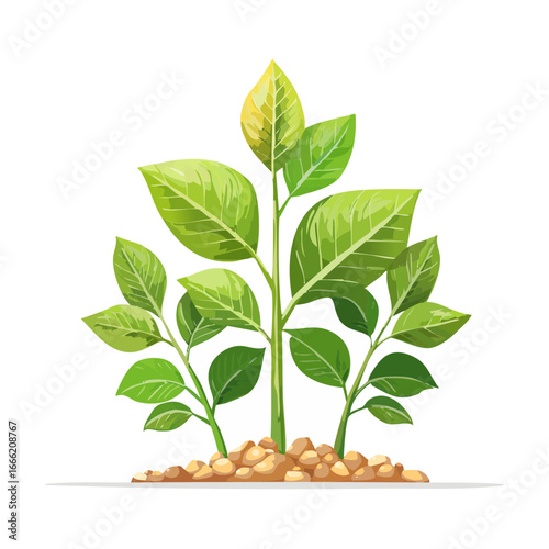 Green leafy plants with pebble base Fresh growth and vitality vector illustration Garden decoration element