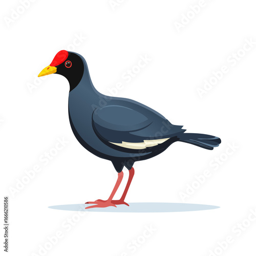 Myna Bird Vector Illustration, Isolated Bird with Red Head and Yellow Beak on White Surface, Isolated on Black Background