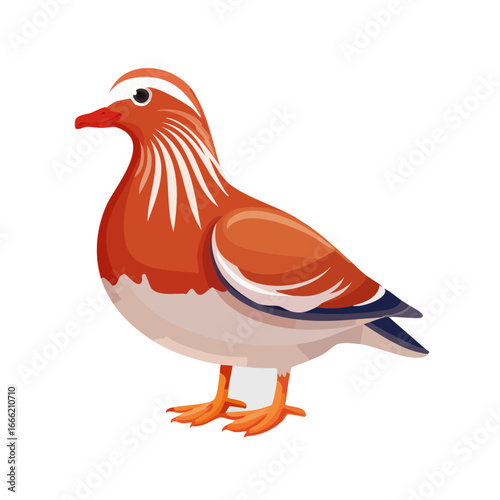 Colorful Mandarin Duck Illustration Detailed orange waterfowl icon against a black background bird isolated
