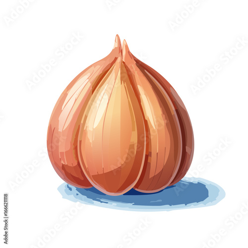 Stylized garlic bulb with warm colors on a reflective surface, isolated on black. Food illustration