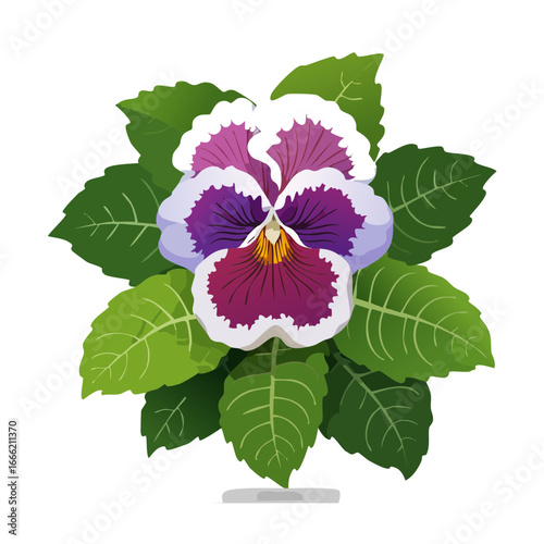 Purple pansy flower with green leaves illustration against a black background.