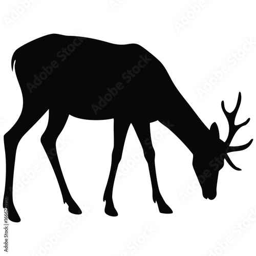 Grazing deer silhouette vector illustration.