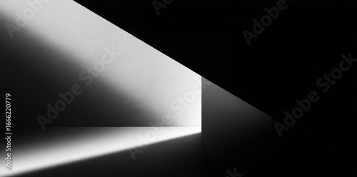 Light and Shadow, White and Black: A Study in Contrast