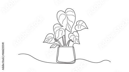 Continuous Line art drawing of a potted plant isolated on white background