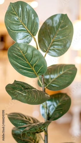 Close-up of a vibrant green plant with numerous large, oval leaves, showcasing intricate veining patterns.  The soft lighting and shallow depth of field highlight the plant's details.