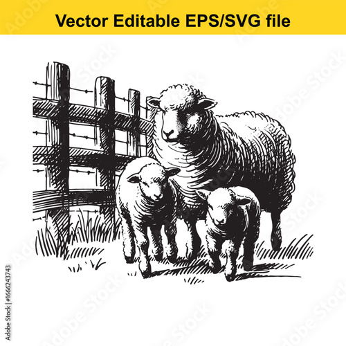 Three sheep and two lambs in a field with a fence