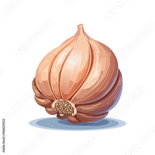 Illustration of a garlic bulb with cloves and root details on a white plate against black background