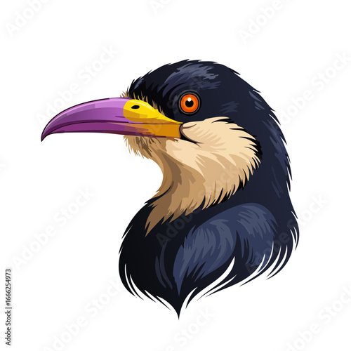 Colorful bird head, exotic vector illustration. Purple, yellow beak and orange eye. Isolated on black background.