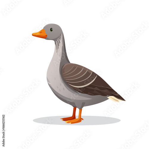 Illustration of a gray goose with orange beak cartoon style avian animal isolated