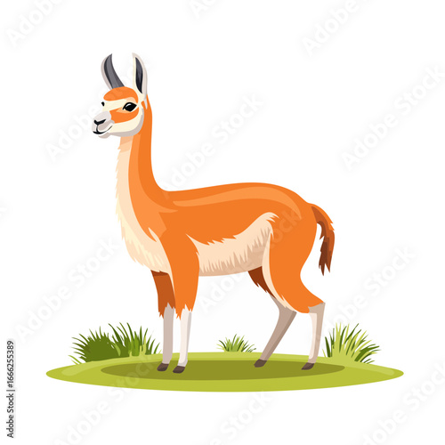 Cartoon Guanaco Standing on Green Grass Illustration Animal Character Design