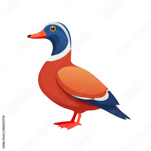 Cartoon duck illustration colorful bird waterfowl avian species in nature animal design