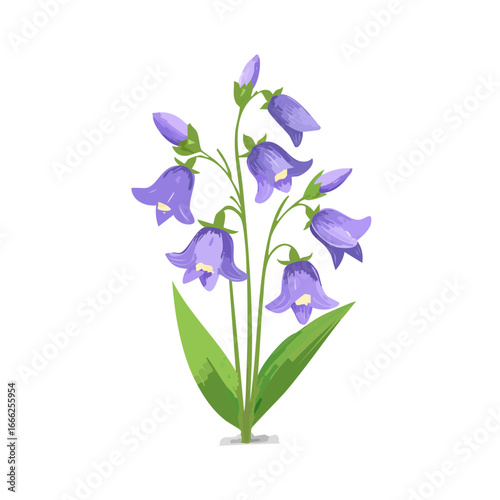 Isolated bluebell flower illustration on black background with lush green leaves and stems. Spring blossom.