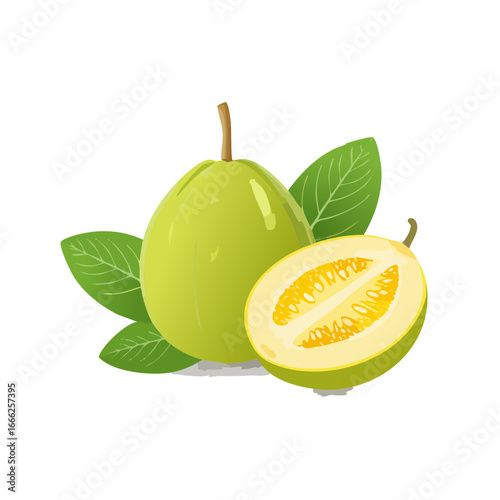Illustration of whole and halved oblong gourds with leaves on a black background