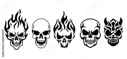Skull silhoette vector, bones illustration