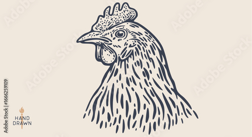 Chicken, farm hen sketch. Hand drawn. Vintage retro print hen, black drawing chicken, engrave old school style. Sketch artwork silhouette rooster, chicken, hen, white background. Vector Illustration