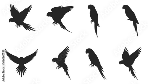 Black parrot silhouettes in various flying and perched poses