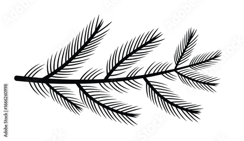 Black pine branch with needles pine needles black and white