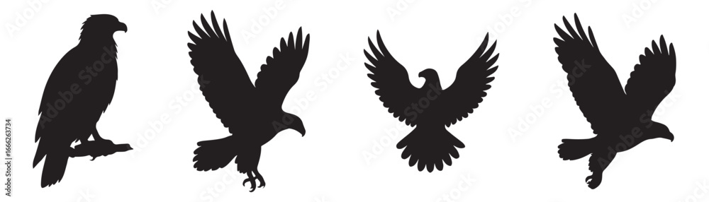Obraz premium black and white eagles silhouettes