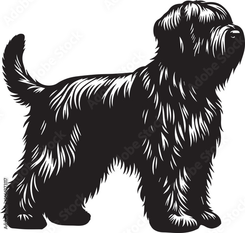 Briard Dog vector in black and white 