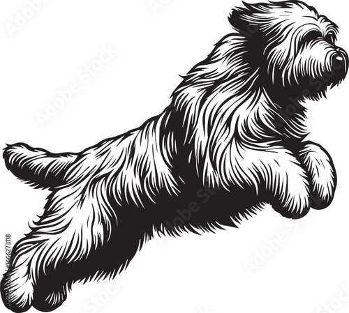 Briard Dog vector in black and white 