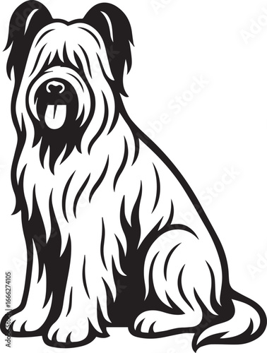 Briard Dog vector in black and white 
