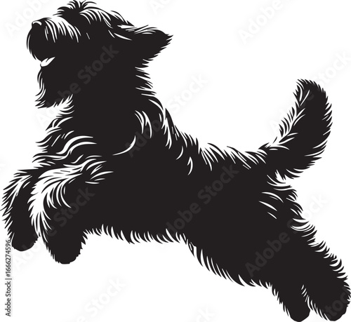 Briard Dog vector in black and white 