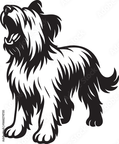 Briard Dog vector in black and white 