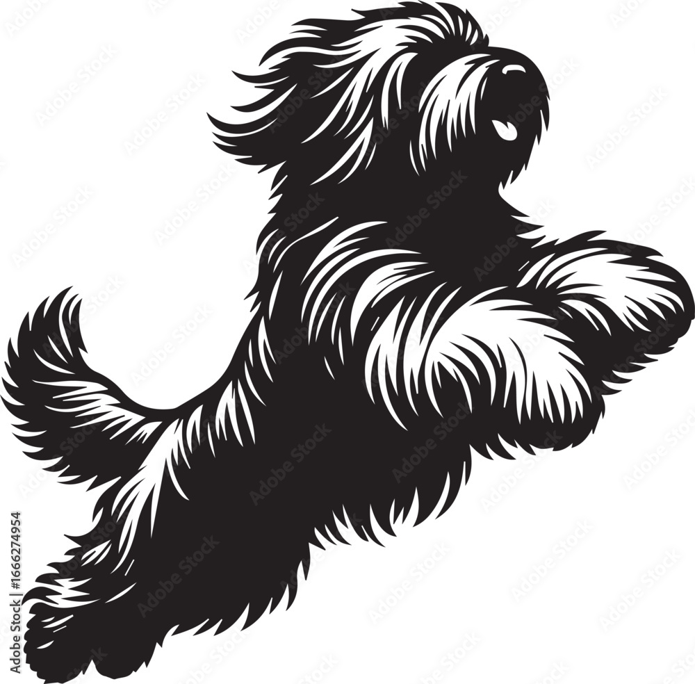 Fototapeta premium Briard Dog vector in black and white 
