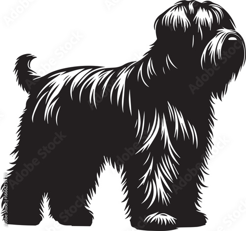 Briard Dog vector in black and white 