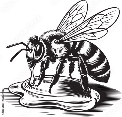 Engraving Vintage Bees and Beehive with Honeycomb Vector Art Illustration, Old Vintage Beekeeping Design