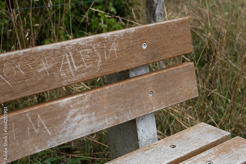 Foto a bench in the park with the name Alessia carved on it