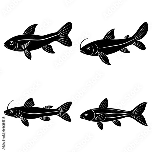 Illustration showing four black fish with different features on a white background design element