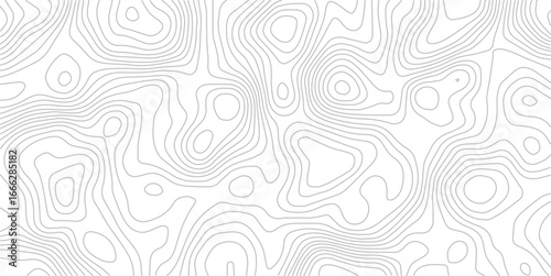 abstract topographic wave line black, white line map texture. geometric discovery mounted location counter grid map background.White wave paper curved reliefs abstract background. The topographic map.