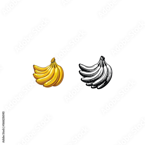 Two bunches of bananas one in color and one in black and white sketch