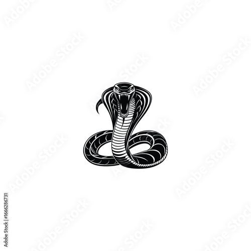 Detailed black and white illustration of a cobra snake in a defensive pose