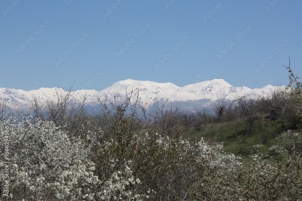 snow covered mountains snow covered mountains
