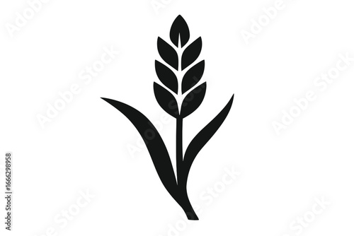 Wheat ear silhouette vector icon. Cereal grain plant symbol for agriculture, harvest, or bakery logo. Natural organic food concept. Gluten free or whole grain sign.