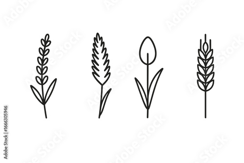 Dried flower outline icon set with lavender, pampas grass, bunny tail grass, and wheat stalk. Vector illustrations for minimalist boho botanical design and natural decor.