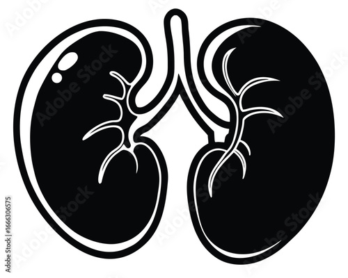 Stylized black and white illustration of human kidneys