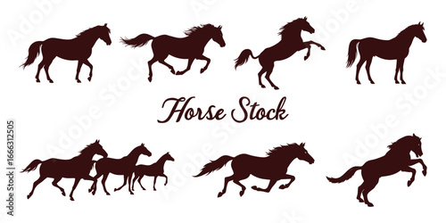 Collection of elegant dark brown horse silhouettes in various dynamic poses on a white background representing freedom and power