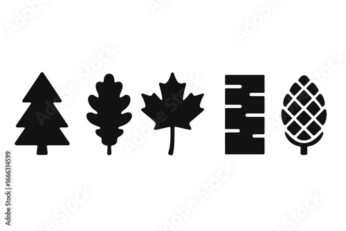 Tree species icons set with solid filled silhouettes for tree identification including pine tree, oak leaf, maple leaf, birch bark, and fir cone in vector illustration on transparent background