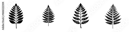 Various black silhouettes of fern leaves showcased with unique designs and shapes in a minimalistic layout